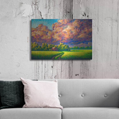 Luxe Metal Art 'August Storm' by Joe Reimer, Metal Wall Art,36x24