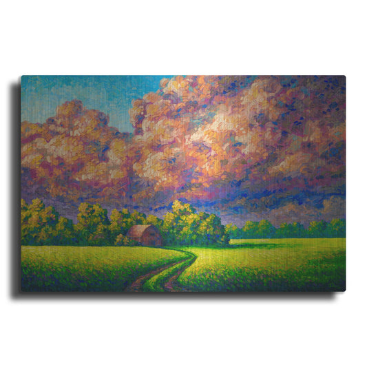 Luxe Metal Art 'August Storm' by Joe Reimer, Metal Wall Art