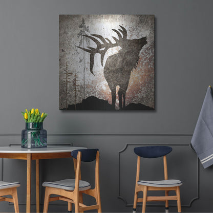 Luxe Metal Art 'Calling Elk' by Lightbox Journal, Metal Wall Art,36x36