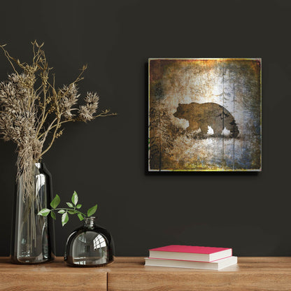 Luxe Metal Art 'High Country Bear' by Lightbox Journal, Metal Wall Art,12x12