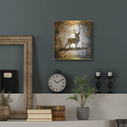 Luxe Metal Art 'High Country Deer' by Lightbox Journal, Metal Wall Art,12x12