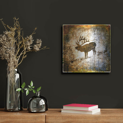 Luxe Metal Art 'High Country Elk' by Lightbox Journal, Metal Wall Art,12x12