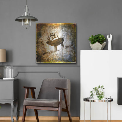 Luxe Metal Art 'High Country Elk' by Lightbox Journal, Metal Wall Art,24x24