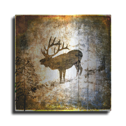 Luxe Metal Art 'High Country Elk' by Lightbox Journal, Metal Wall Art