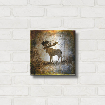 Luxe Metal Art 'High Country Moose' by Lightbox Journal, Metal Wall Art,12x12