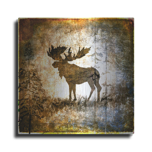 Luxe Metal Art 'High Country Moose' by Lightbox Journal, Metal Wall Art