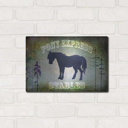 Luxe Metal Art 'Country Horse I' by Lightbox Journal, Metal Wall Art,16x12