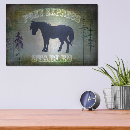 Luxe Metal Art 'Country Horse I' by Lightbox Journal, Metal Wall Art,16x12