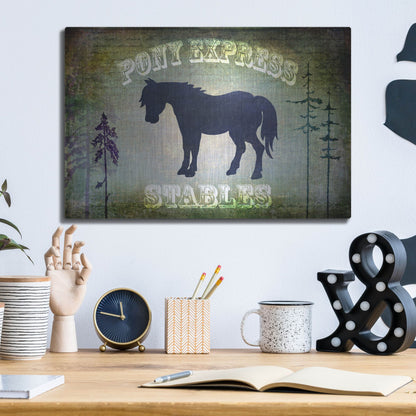 Luxe Metal Art 'Country Horse I' by Lightbox Journal, Metal Wall Art,16x12