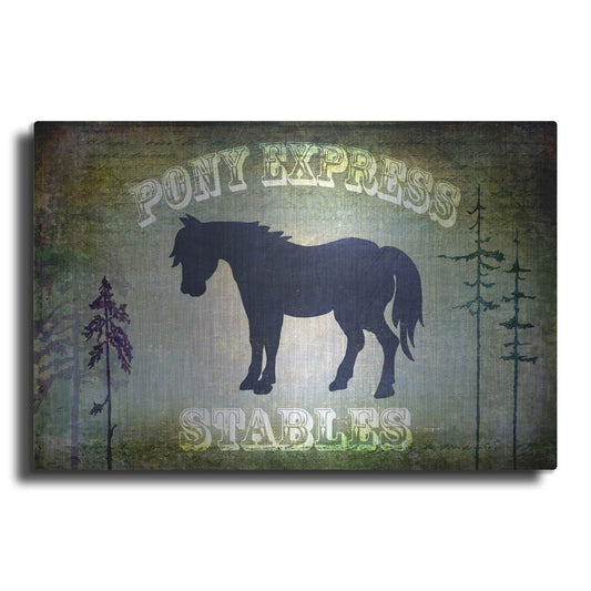 Luxe Metal Art 'Country Horse I' by Lightbox Journal, Metal Wall Art