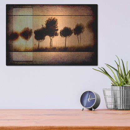 Luxe Metal Art 'For the Love of Trees I' by Lightbox Journal, Metal Wall Art,16x12