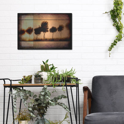 Luxe Metal Art 'For the Love of Trees I' by Lightbox Journal, Metal Wall Art,16x12