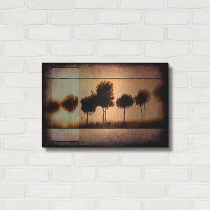 Luxe Metal Art 'For the Love of Trees I' by Lightbox Journal, Metal Wall Art,24x16