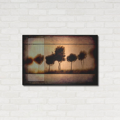 Luxe Metal Art 'For the Love of Trees I' by Lightbox Journal, Metal Wall Art,36x24