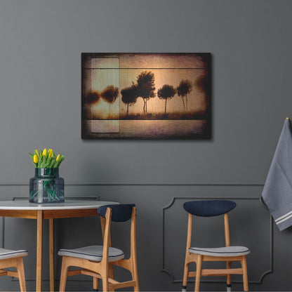 Luxe Metal Art 'For the Love of Trees I' by Lightbox Journal, Metal Wall Art,36x24