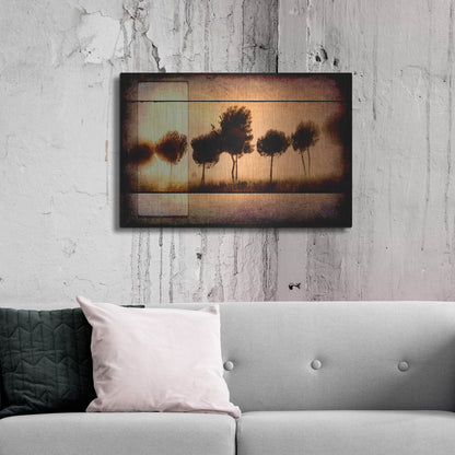 Luxe Metal Art 'For the Love of Trees I' by Lightbox Journal, Metal Wall Art,36x24