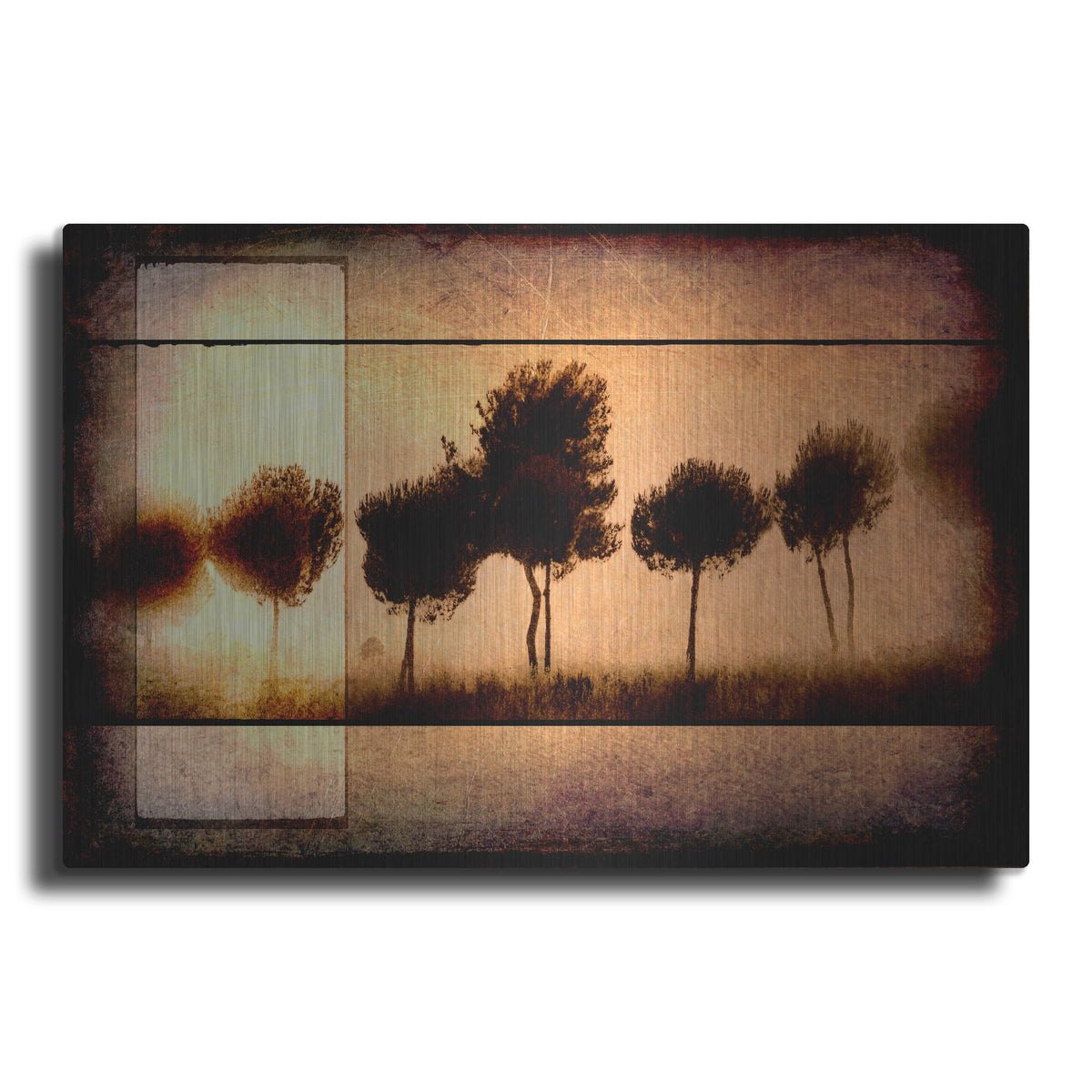 Luxe Metal Art 'For the Love of Trees I' by Lightbox Journal, Metal Wall Art