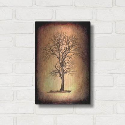 Luxe Metal Art 'For the Love of Trees II' by Lightbox Journal, Metal Wall Art,12x16