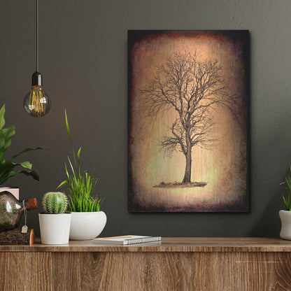 Luxe Metal Art 'For the Love of Trees II' by Lightbox Journal, Metal Wall Art,12x16