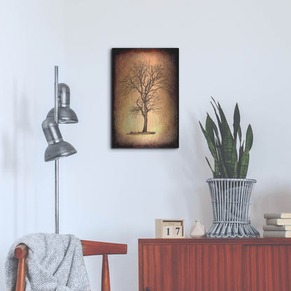 Luxe Metal Art 'For the Love of Trees II' by Lightbox Journal, Metal Wall Art,16x24