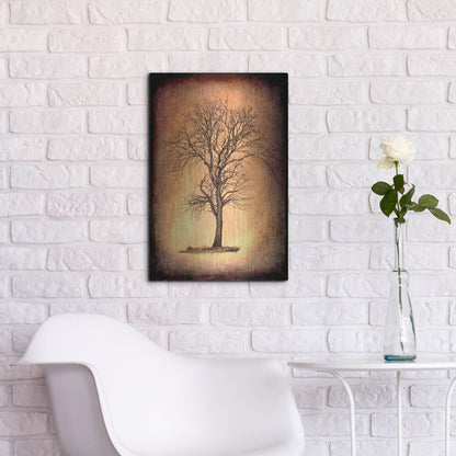 Luxe Metal Art 'For the Love of Trees II' by Lightbox Journal, Metal Wall Art,16x24