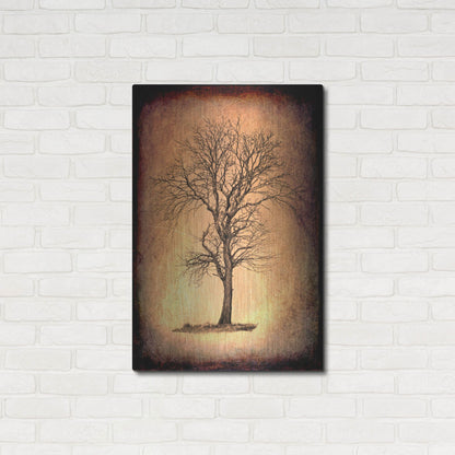 Luxe Metal Art 'For the Love of Trees II' by Lightbox Journal, Metal Wall Art,24x36