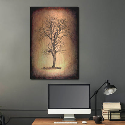 Luxe Metal Art 'For the Love of Trees II' by Lightbox Journal, Metal Wall Art,24x36