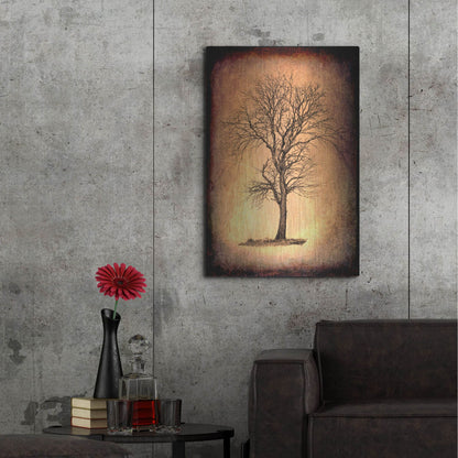 Luxe Metal Art 'For the Love of Trees II' by Lightbox Journal, Metal Wall Art,24x36