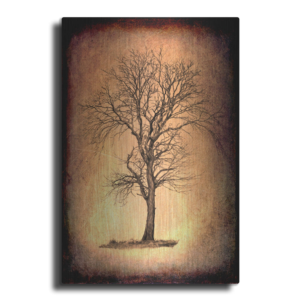 Luxe Metal Art 'For the Love of Trees II' by Lightbox Journal, Metal Wall Art