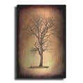 Luxe Metal Art 'For the Love of Trees II' by Lightbox Journal, Metal Wall Art