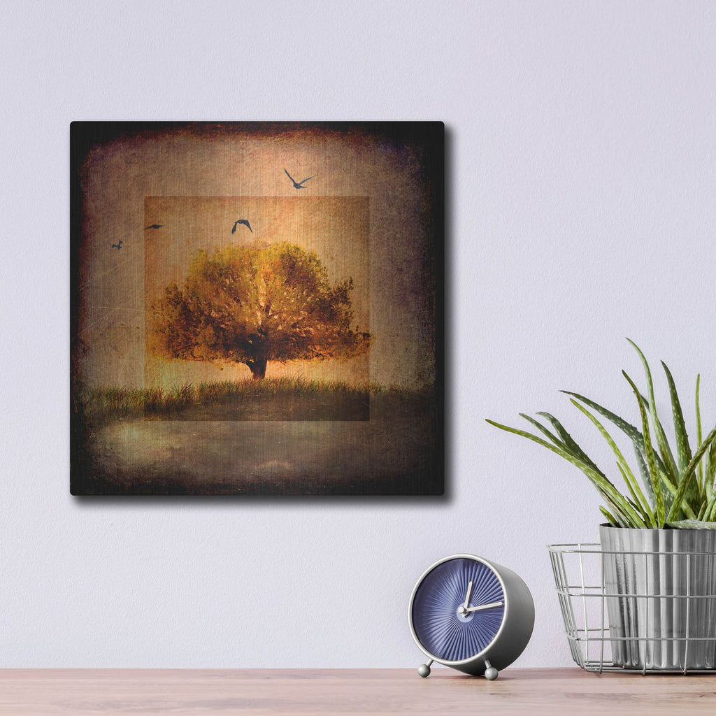 Luxe Metal Art 'For the Love of Trees III' by Lightbox Journal, Metal Wall Art,12x12