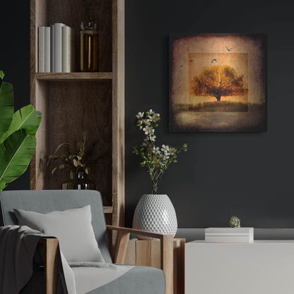 Luxe Metal Art 'For the Love of Trees III' by Lightbox Journal, Metal Wall Art,24x24