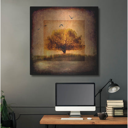 Luxe Metal Art 'For the Love of Trees III' by Lightbox Journal, Metal Wall Art,36x36