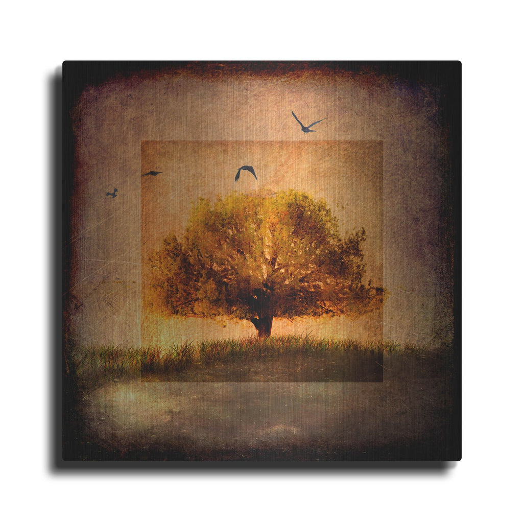 Luxe Metal Art 'For the Love of Trees III' by Lightbox Journal, Metal Wall Art