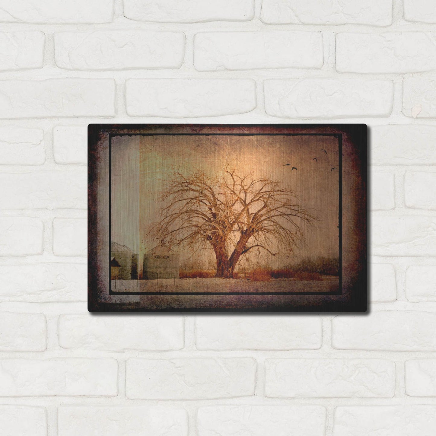 Luxe Metal Art 'For the Love of Trees IV' by Lightbox Journal, Metal Wall Art,16x12