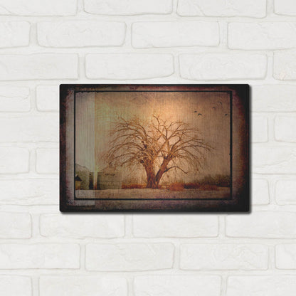 Luxe Metal Art 'For the Love of Trees IV' by Lightbox Journal, Metal Wall Art,16x12