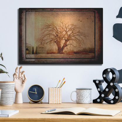 Luxe Metal Art 'For the Love of Trees IV' by Lightbox Journal, Metal Wall Art,16x12