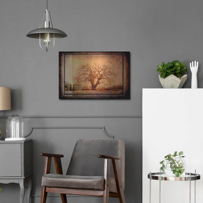 Luxe Metal Art 'For the Love of Trees IV' by Lightbox Journal, Metal Wall Art,24x16