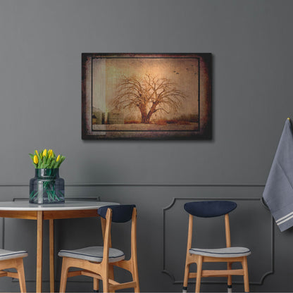 Luxe Metal Art 'For the Love of Trees IV' by Lightbox Journal, Metal Wall Art,36x24