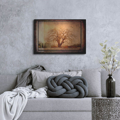 Luxe Metal Art 'For the Love of Trees IV' by Lightbox Journal, Metal Wall Art,36x24