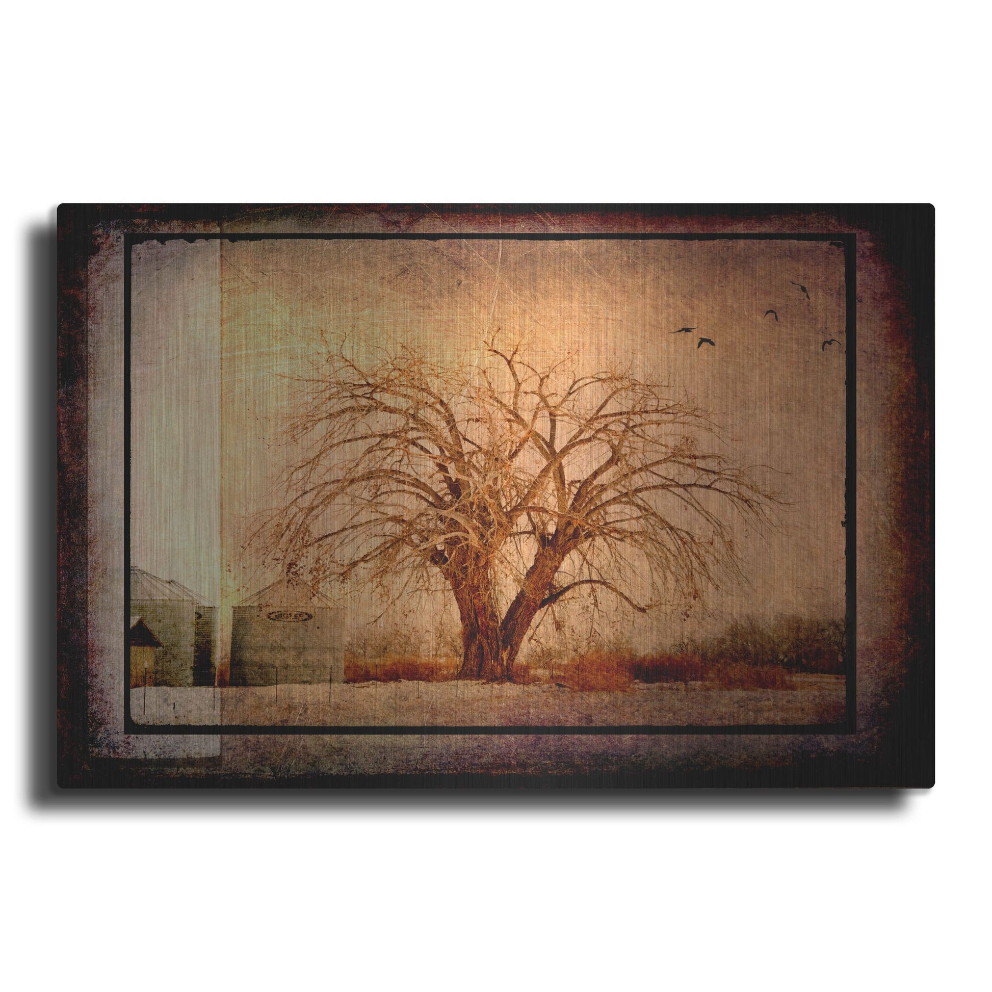 Luxe Metal Art 'For the Love of Trees IV' by Lightbox Journal, Metal Wall Art