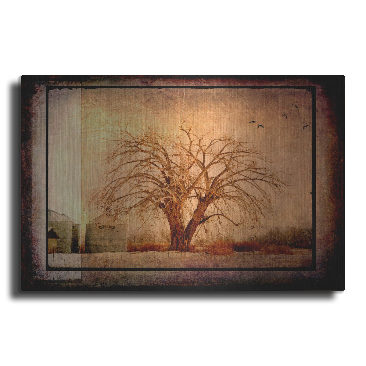 Luxe Metal Art 'For the Love of Trees IV' by Lightbox Journal, Metal Wall Art