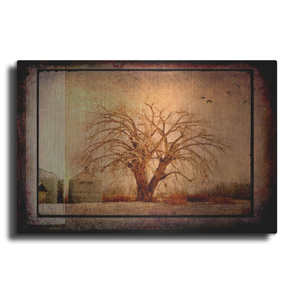 Luxe Metal Art 'For the Love of Trees IV' by Lightbox Journal, Metal Wall Art
