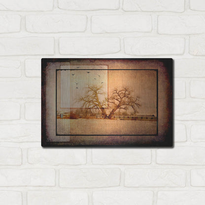 Luxe Metal Art 'For the Love of Trees V' by Lightbox Journal, Metal Wall Art,16x12