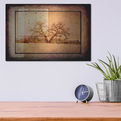 Luxe Metal Art 'For the Love of Trees V' by Lightbox Journal, Metal Wall Art,16x12