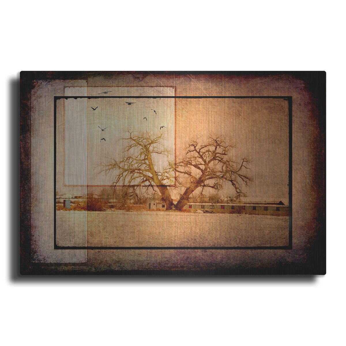 Luxe Metal Art 'For the Love of Trees V' by Lightbox Journal, Metal Wall Art
