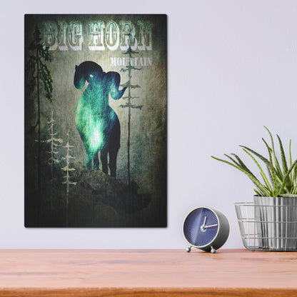 Luxe Metal Art 'Wind River II' by Lightbox Journal, Metal Wall Art,12x16