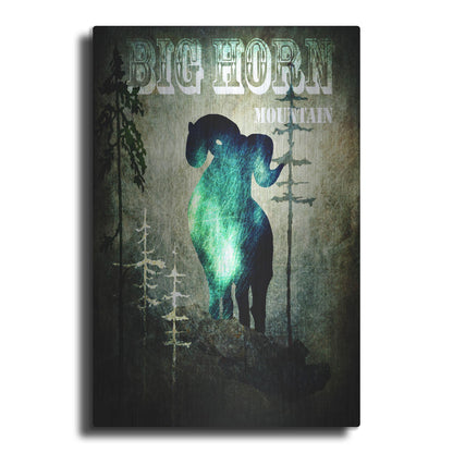 Luxe Metal Art 'Wind River II' by Lightbox Journal, Metal Wall Art