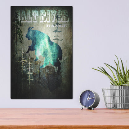 Luxe Metal Art 'Wind River III' by Lightbox Journal, Metal Wall Art,12x16