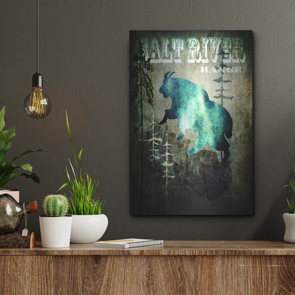 Luxe Metal Art 'Wind River III' by Lightbox Journal, Metal Wall Art,12x16